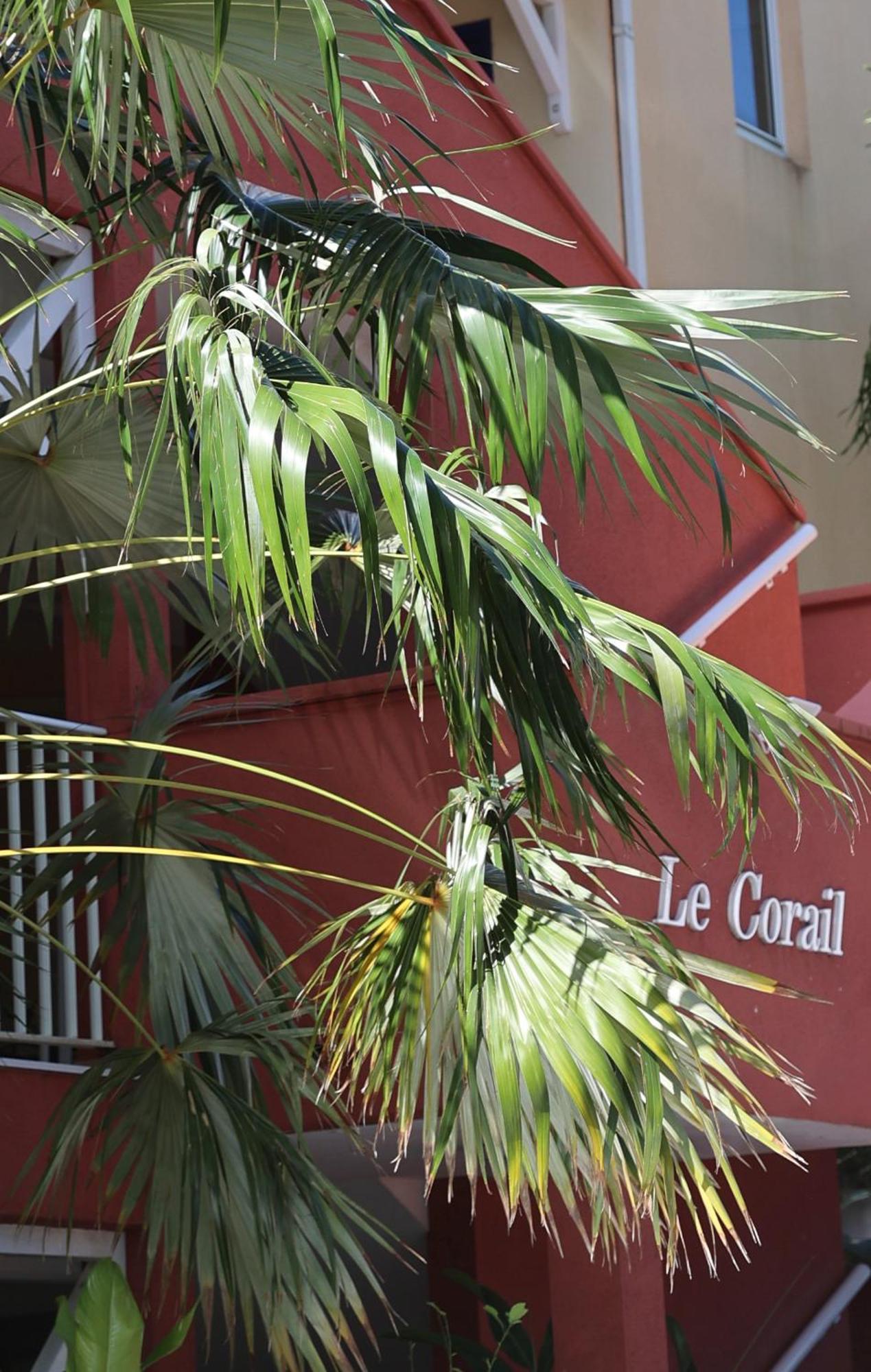 Le Coco Apartment Le Gosier  Exterior photo